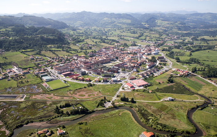 Villaviciosa, Información del concejo de Villaviciosa, Asturias