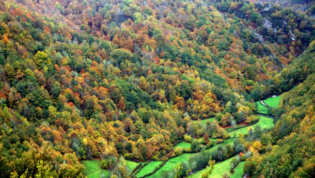 Parque Natural de las Fuentes del Narcea