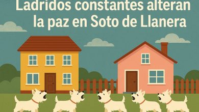 Ladridos constantes en Soto de Llanera